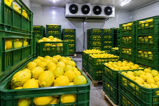 nandikoti_Lemon Cold Storage